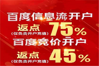 SEM专员实战案例解析
